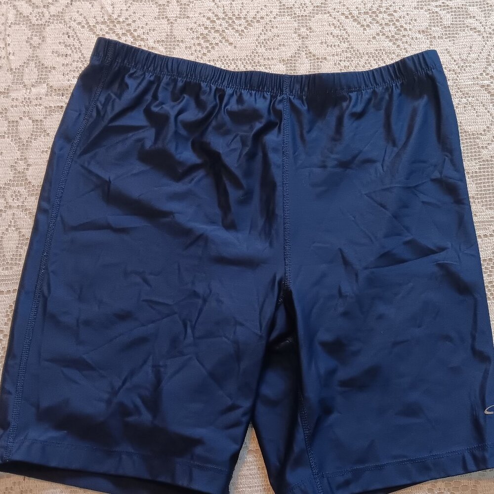 Set of 3 Women's Athletic Shorts | Sizes L & XL | Fila, Lands' End, Champion - Picture 6 of 7